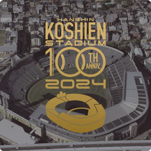 阪神甲子園球場100周年記念サイト