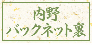 内野バックネット裏