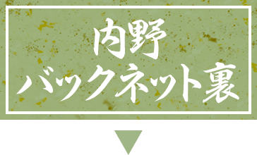 内野バックネット裏