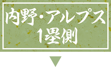 内野・アルプス1塁側