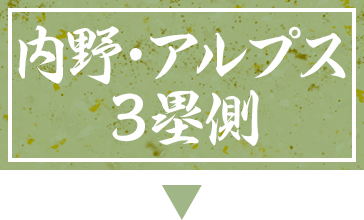 内野・アルプス3塁側