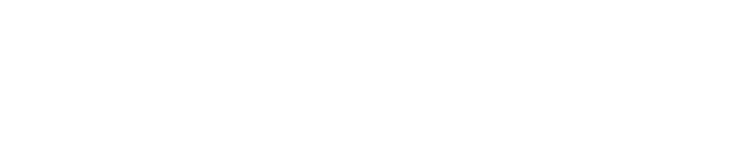 梅ちゃんの九州ええとこ捕り(鶏)弁当