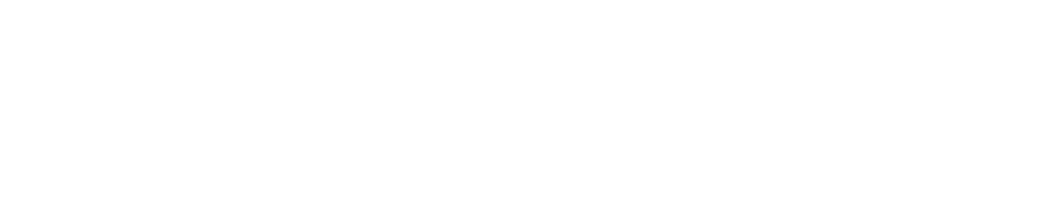 大竹のフライドポテト～カレーケチャップ添え～