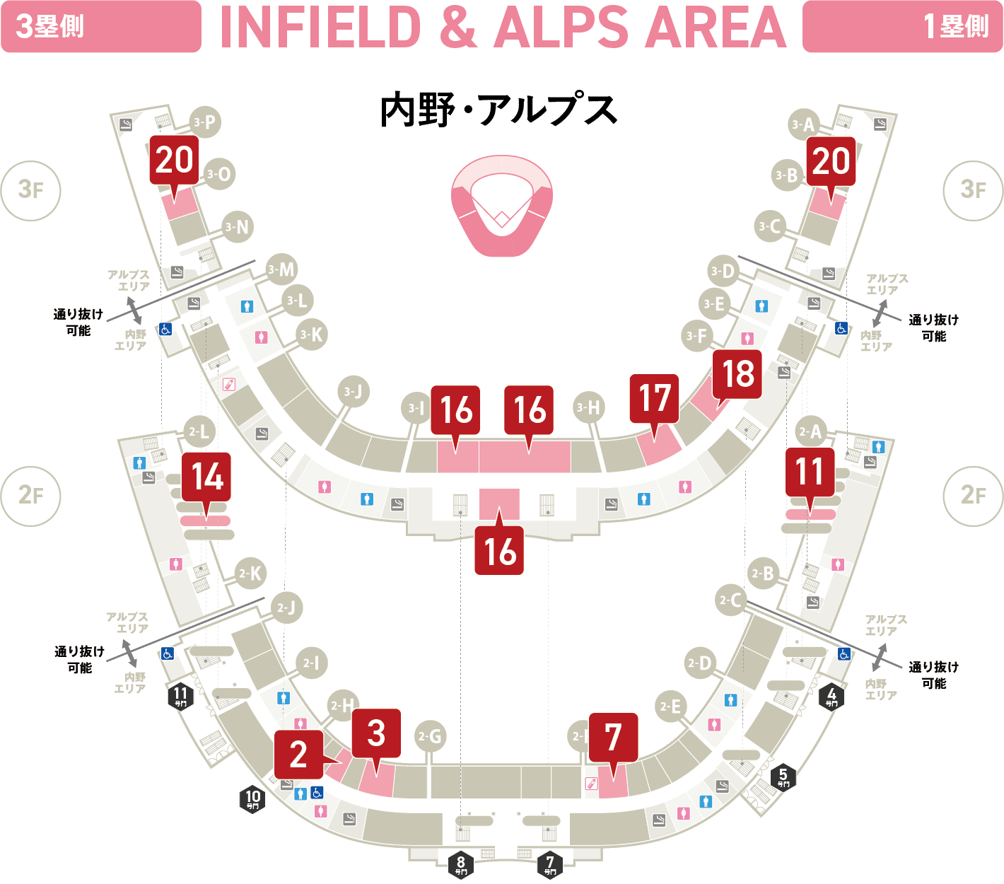 内野・アルプス