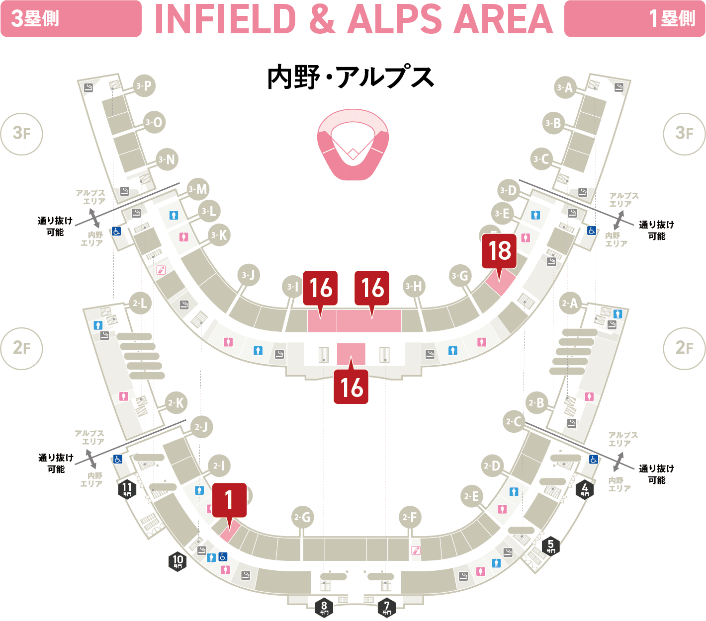 内野・アルプス
