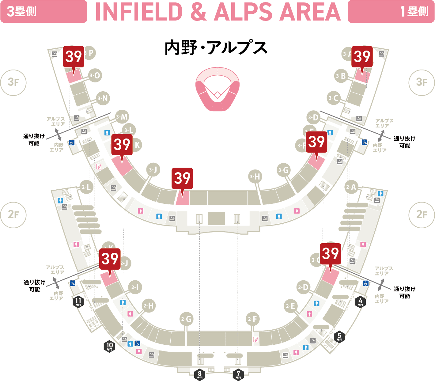 内野・アルプス