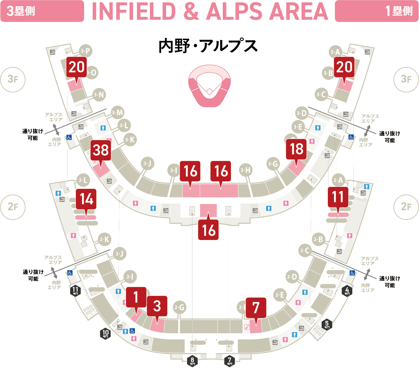 内野・アルプス