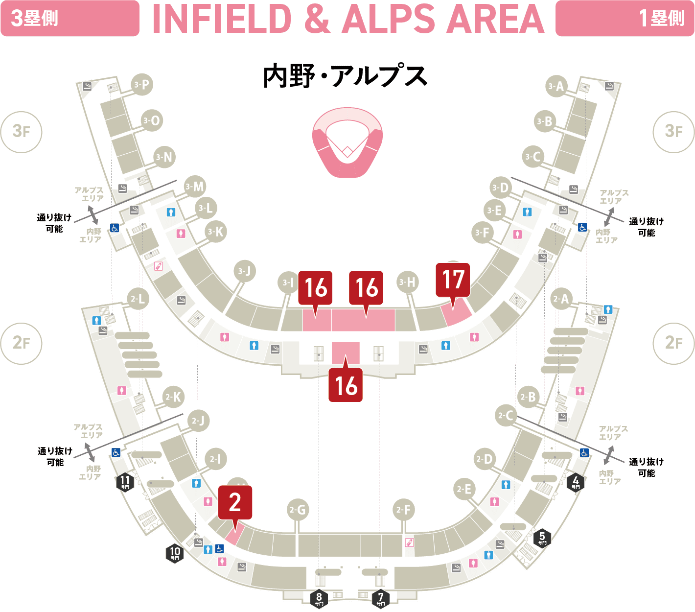 内野・アルプス