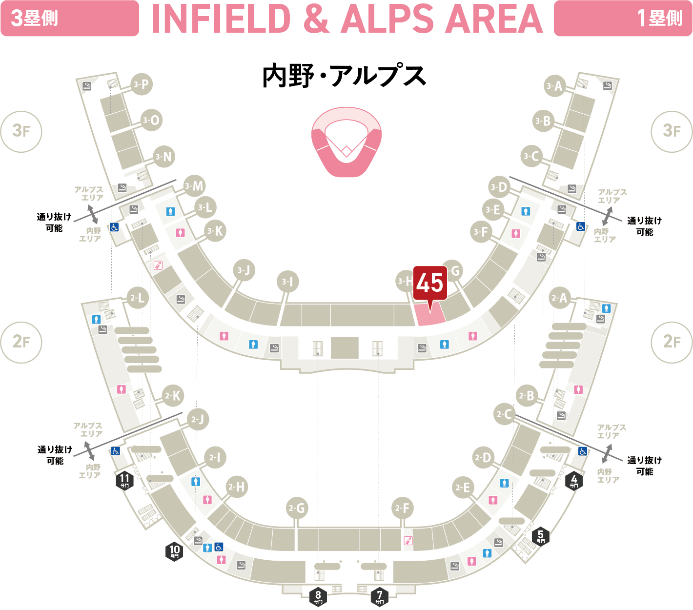 内野・アルプス