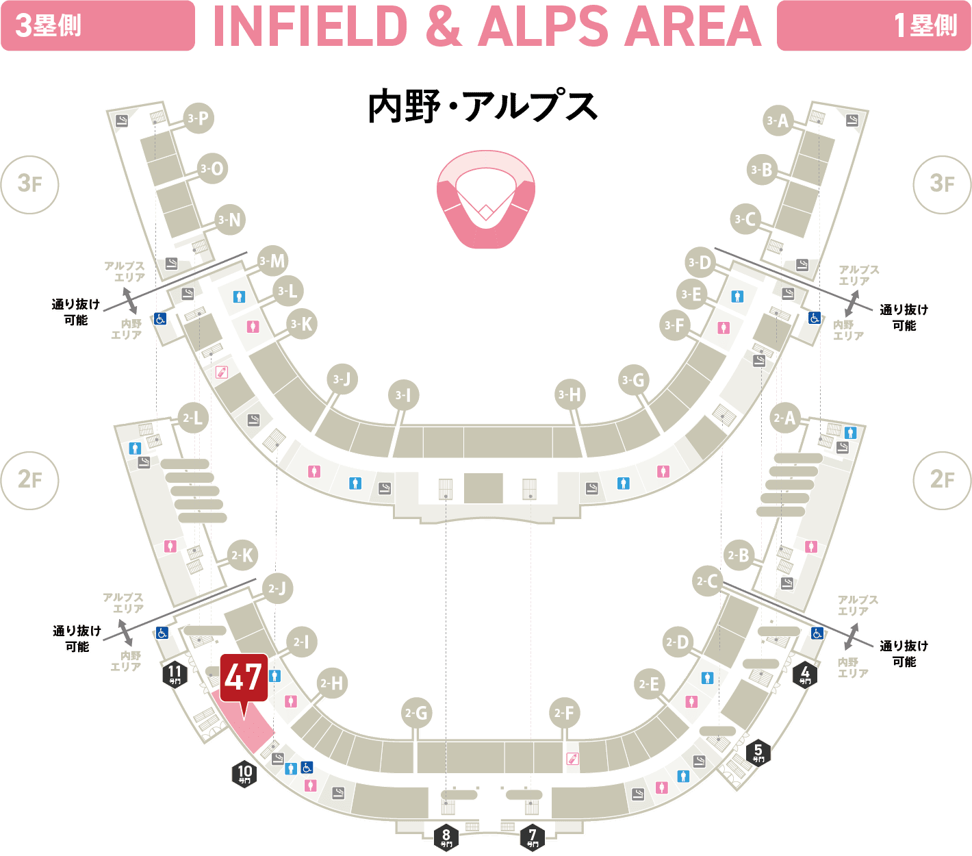 内野・アルプス