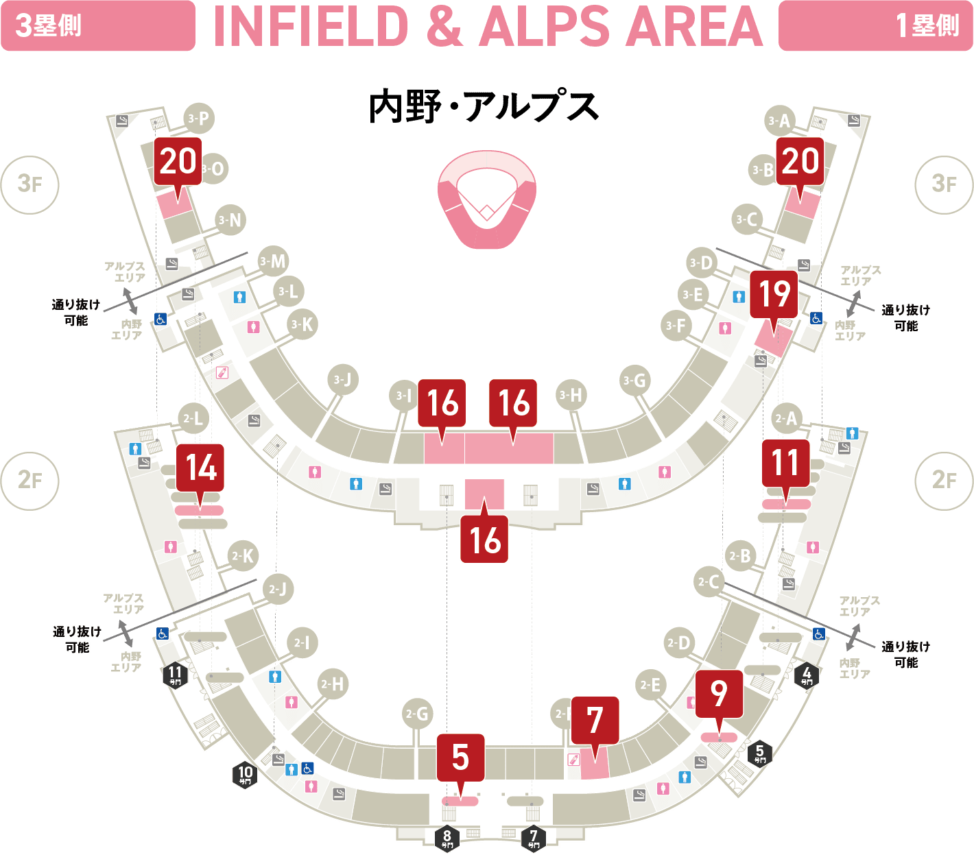 内野・アルプス