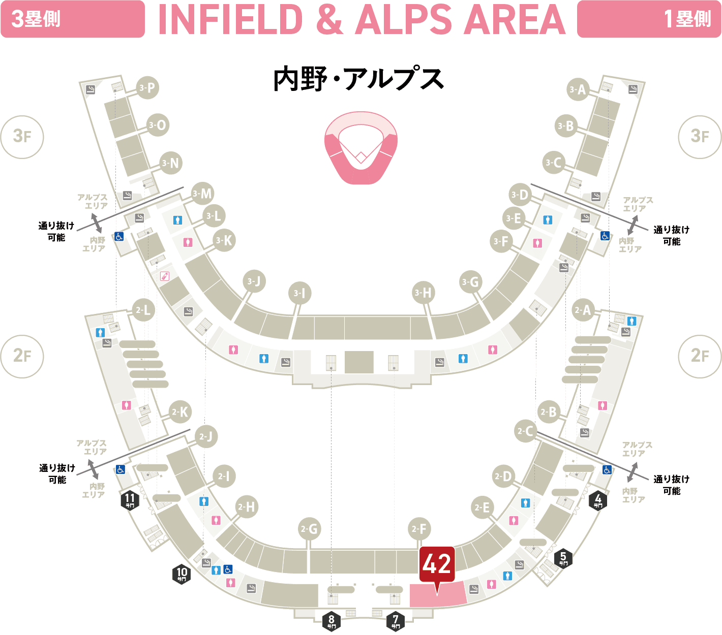 内野・アルプス