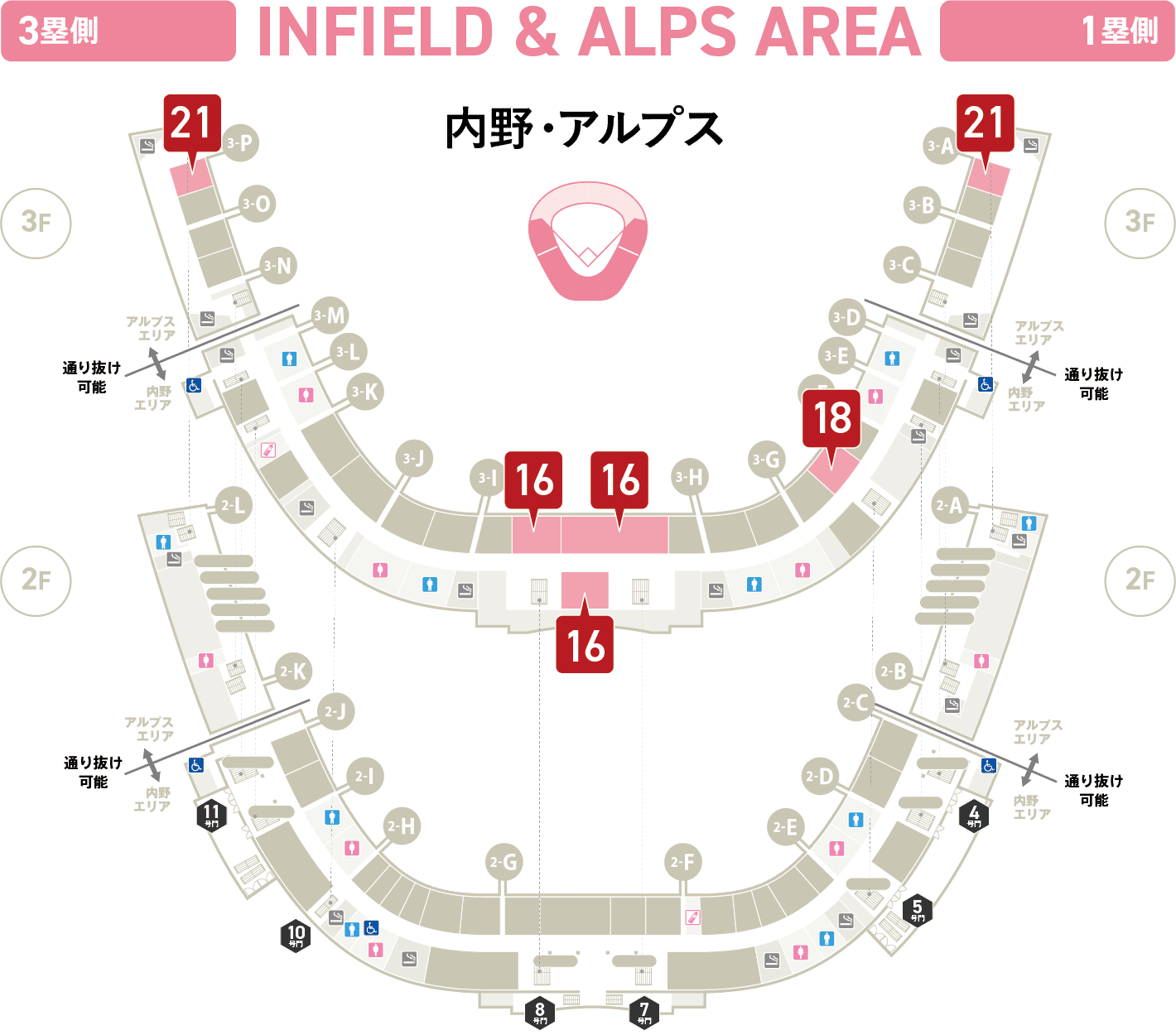 内野・アルプス