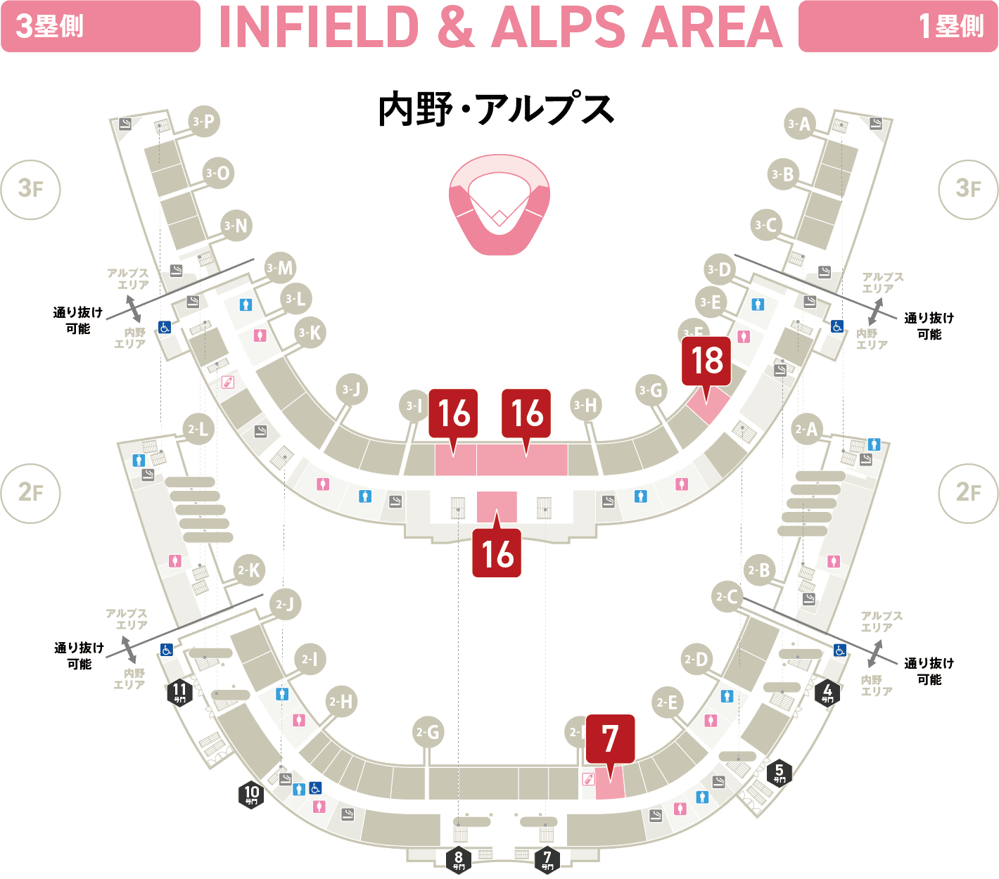 内野・アルプス