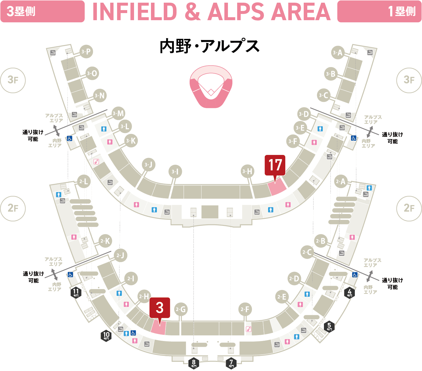 内野・アルプス