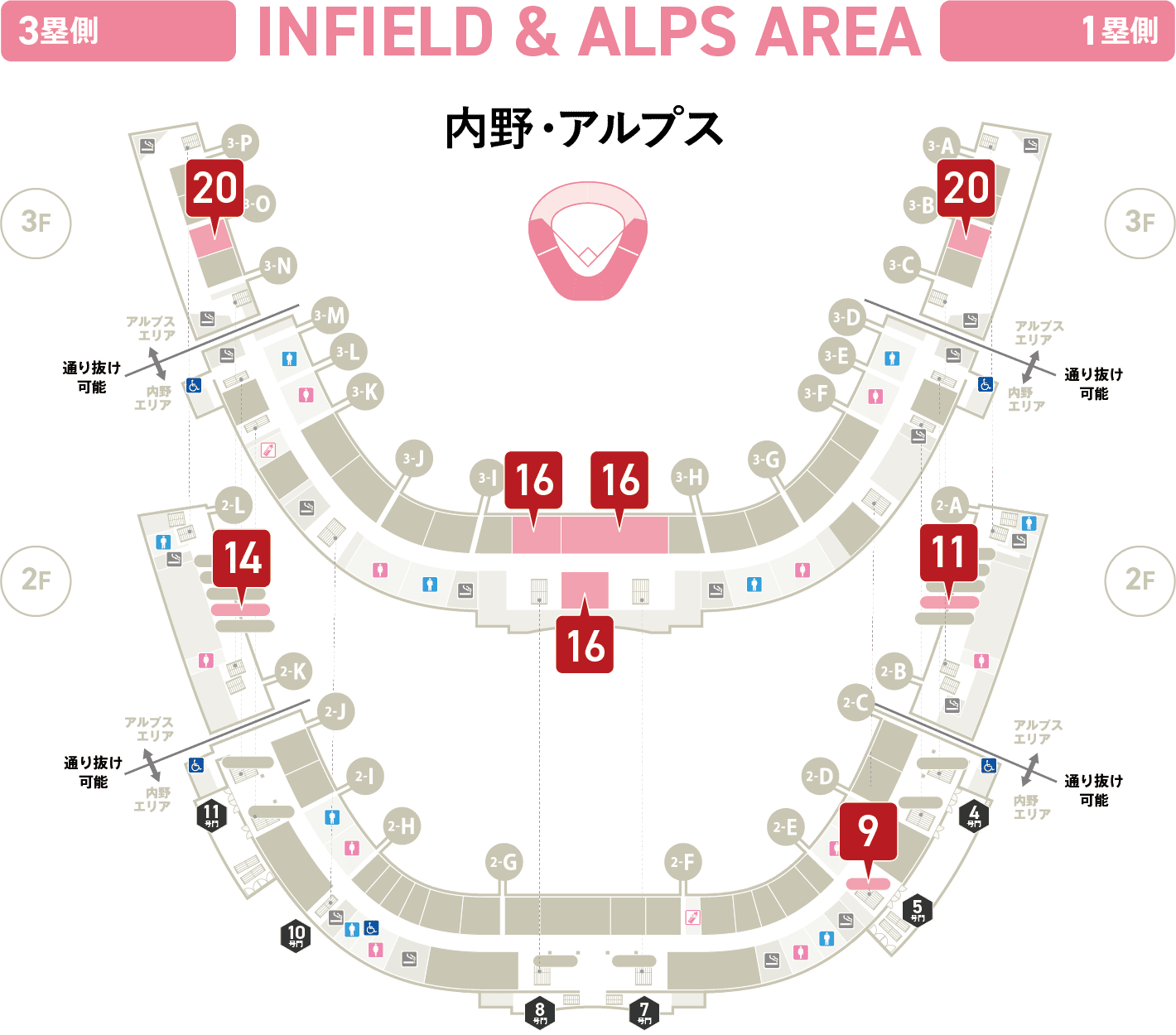 内野・アルプス