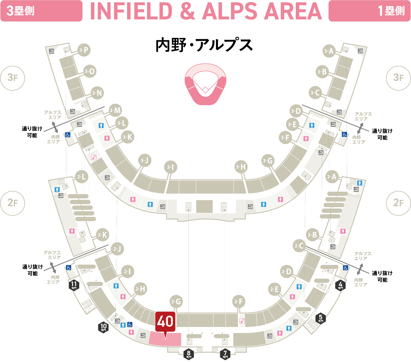 内野・アルプス
