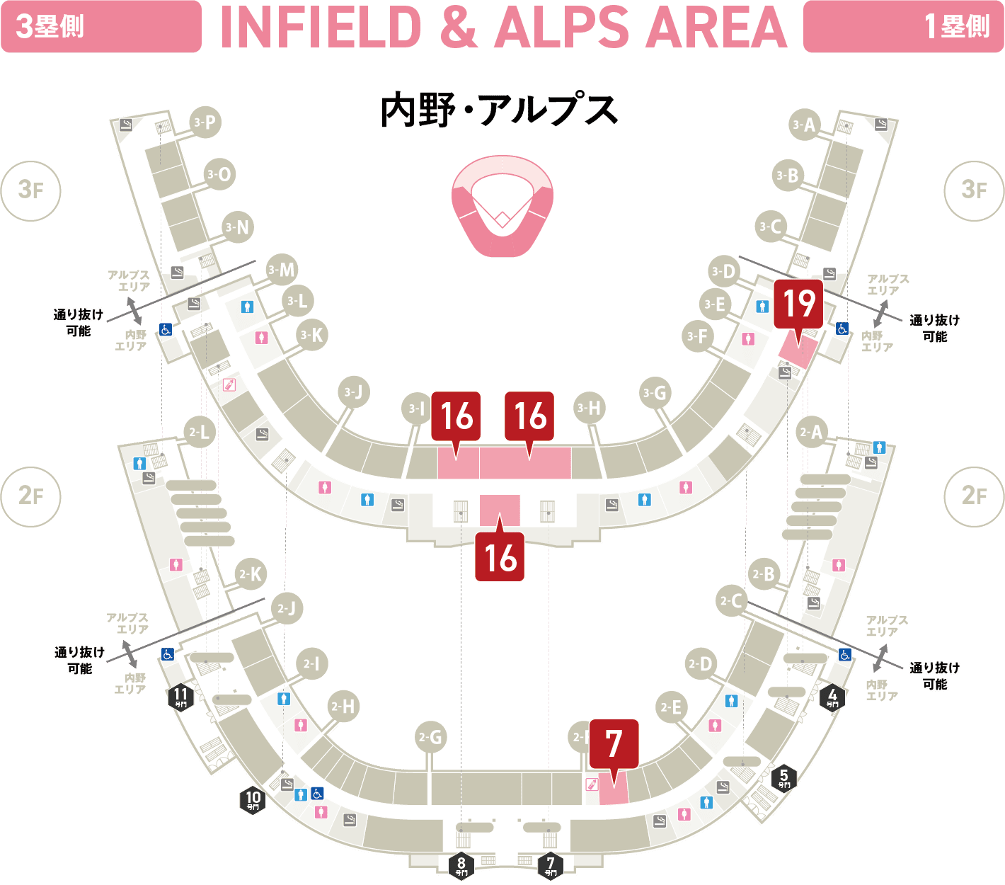 内野・アルプス