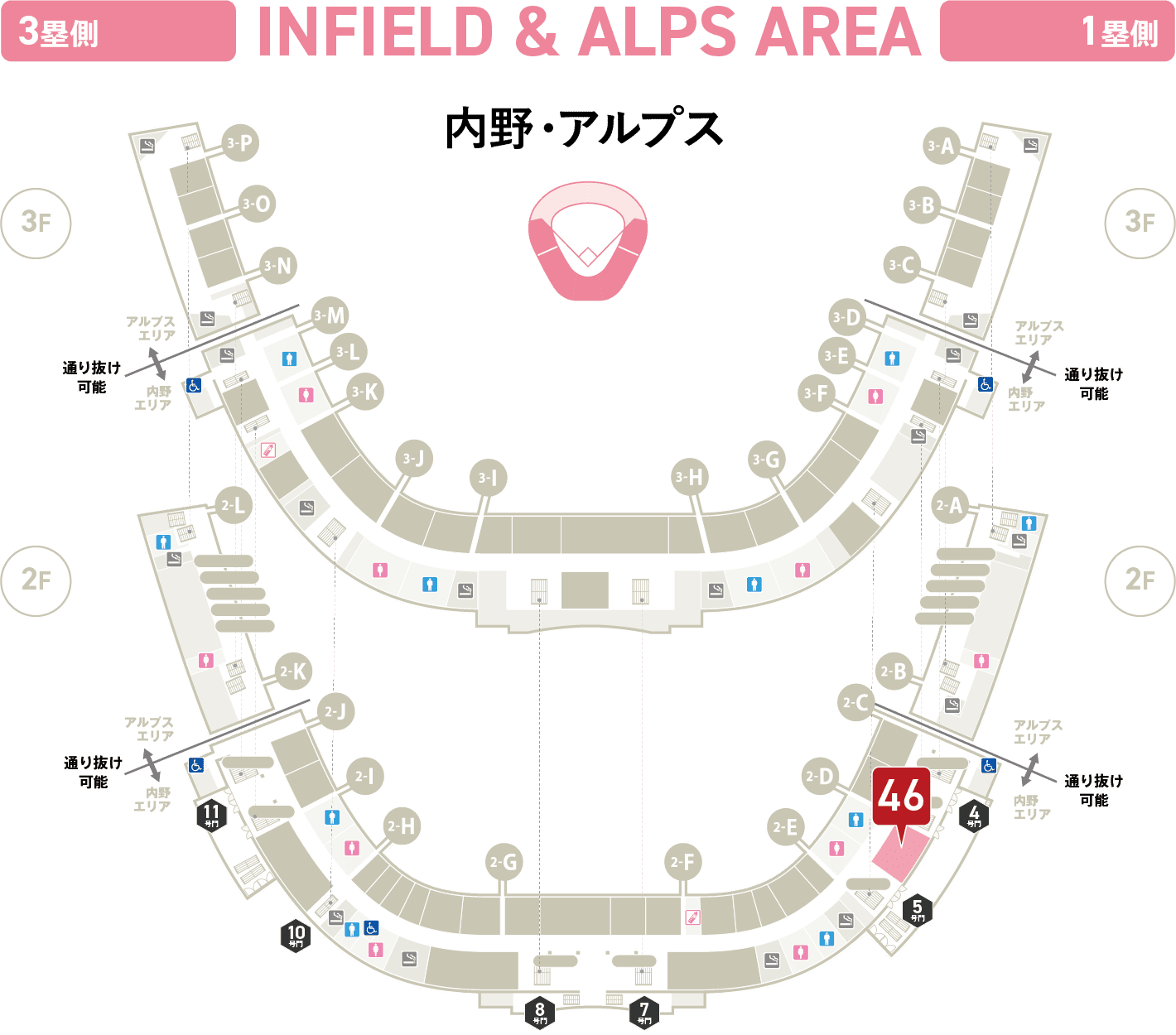内野・アルプス