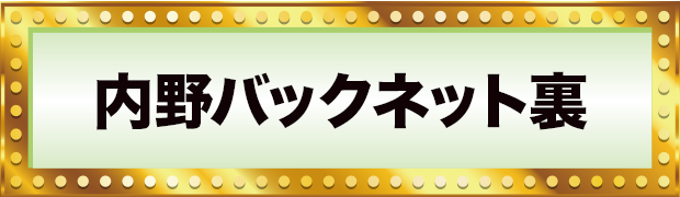 内野バックネット裏