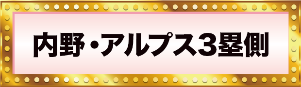 内野・アルプス3塁側