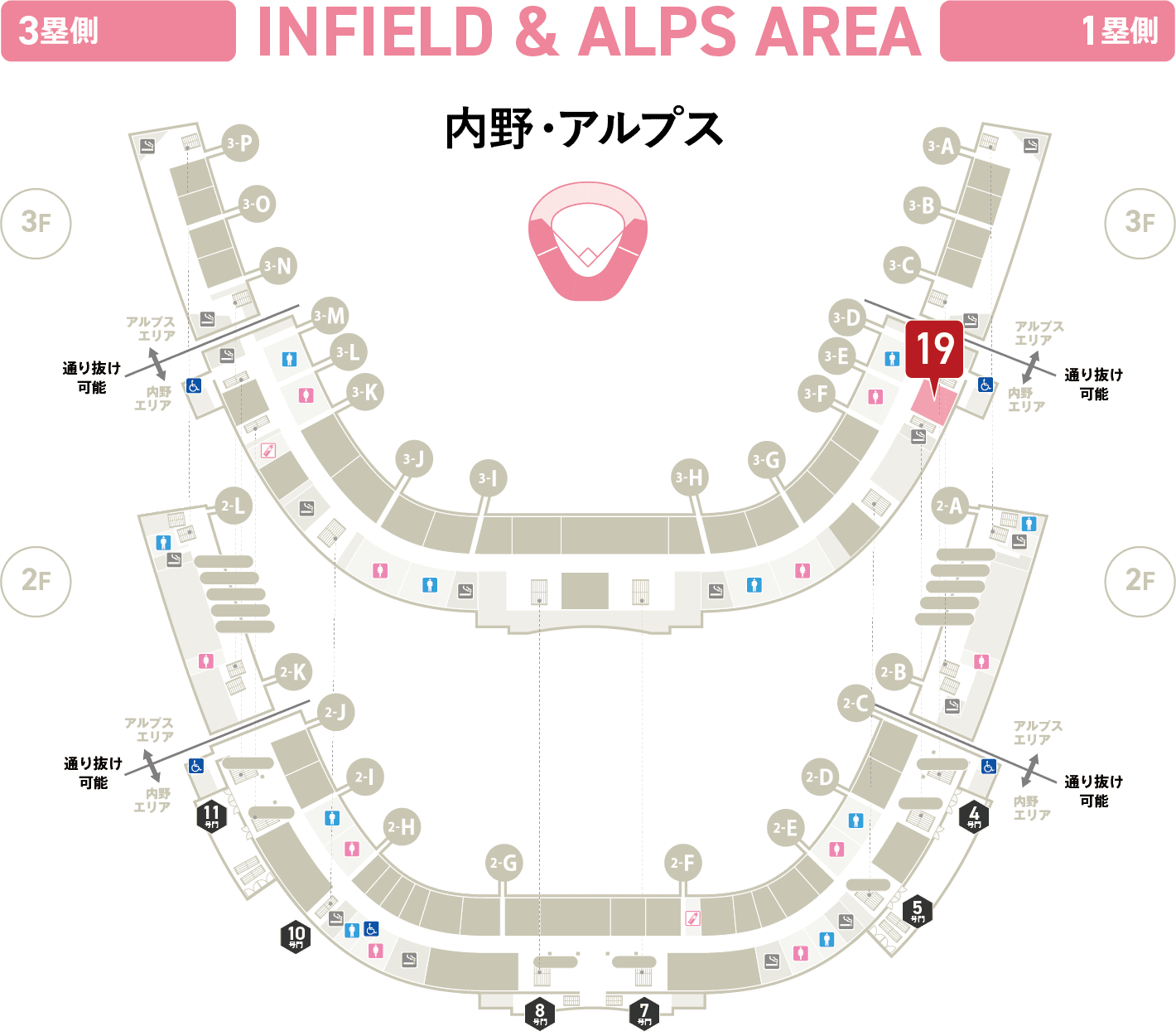 内野・アルプス