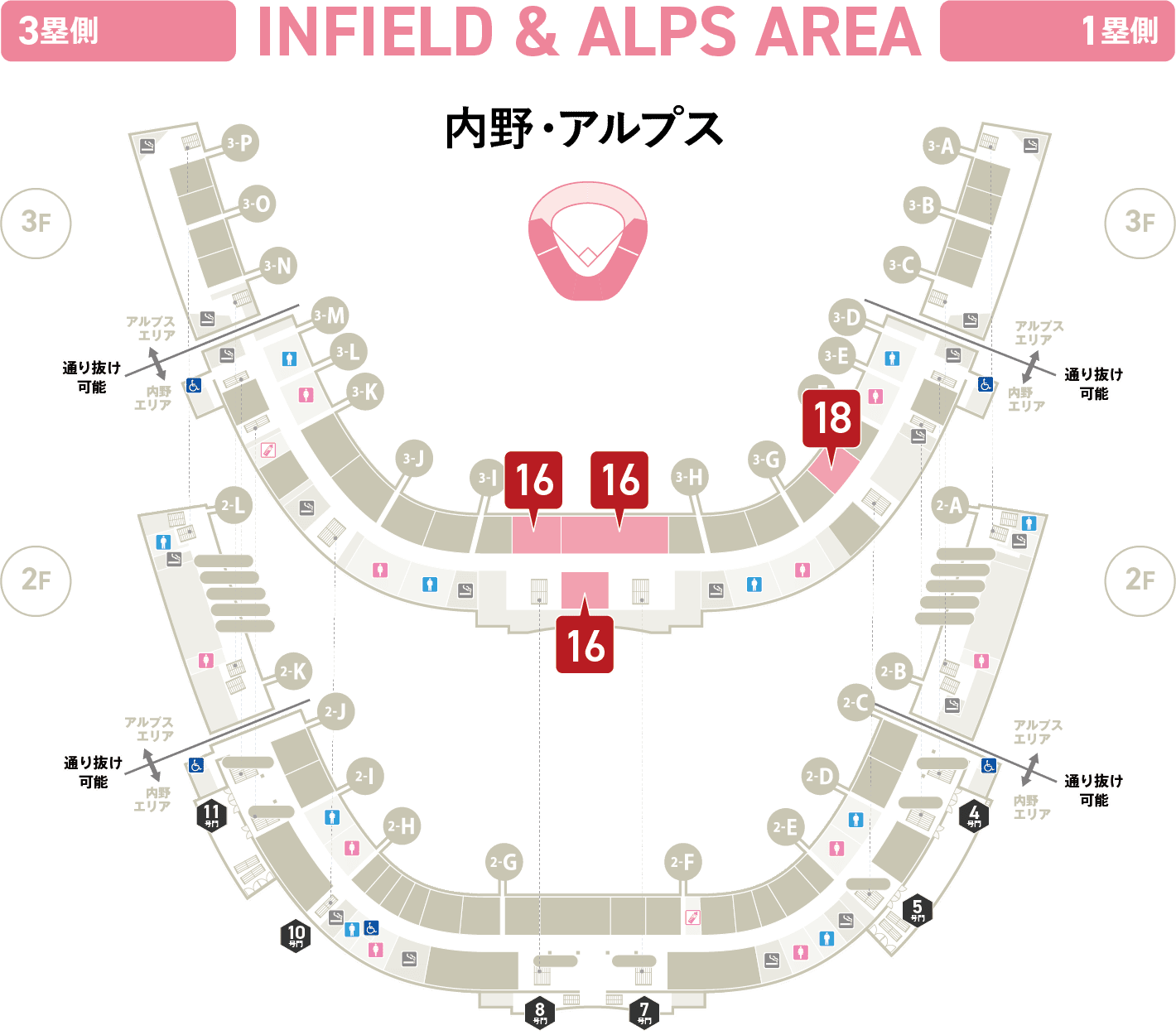 内野・アルプス