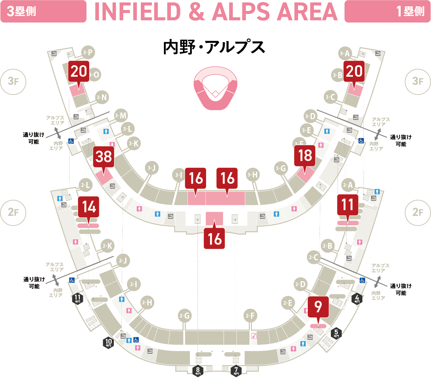 内野・アルプス