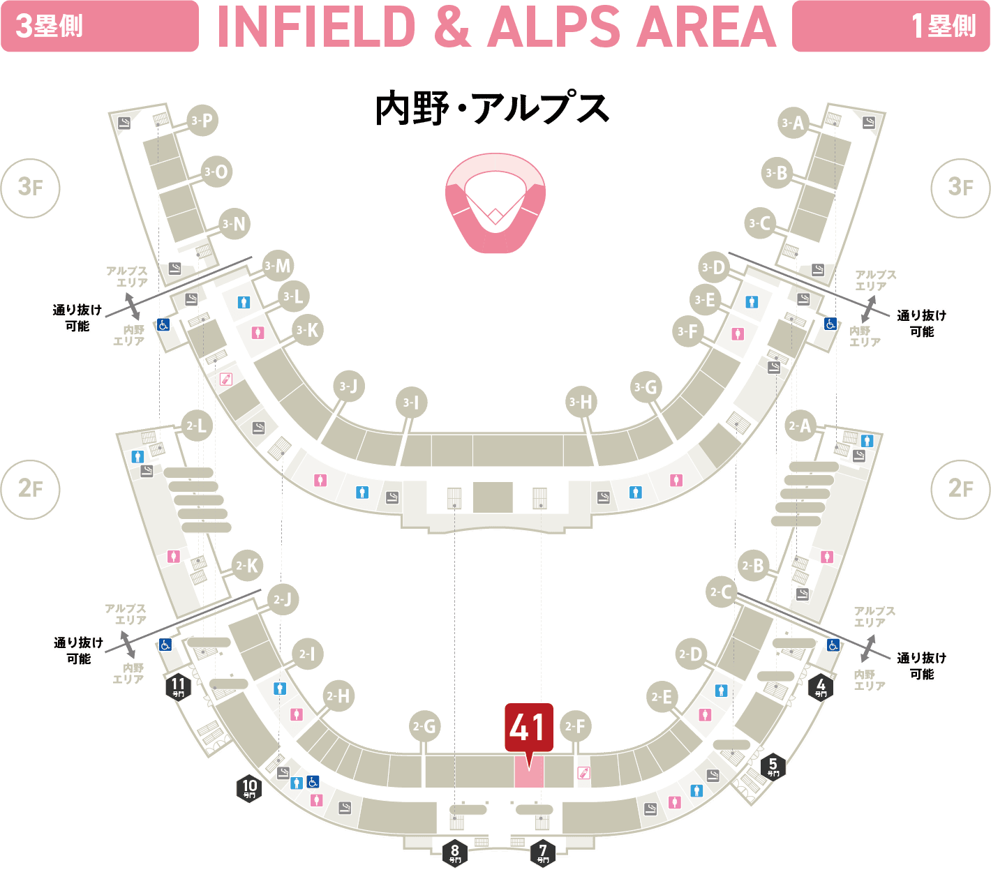 内野・アルプス