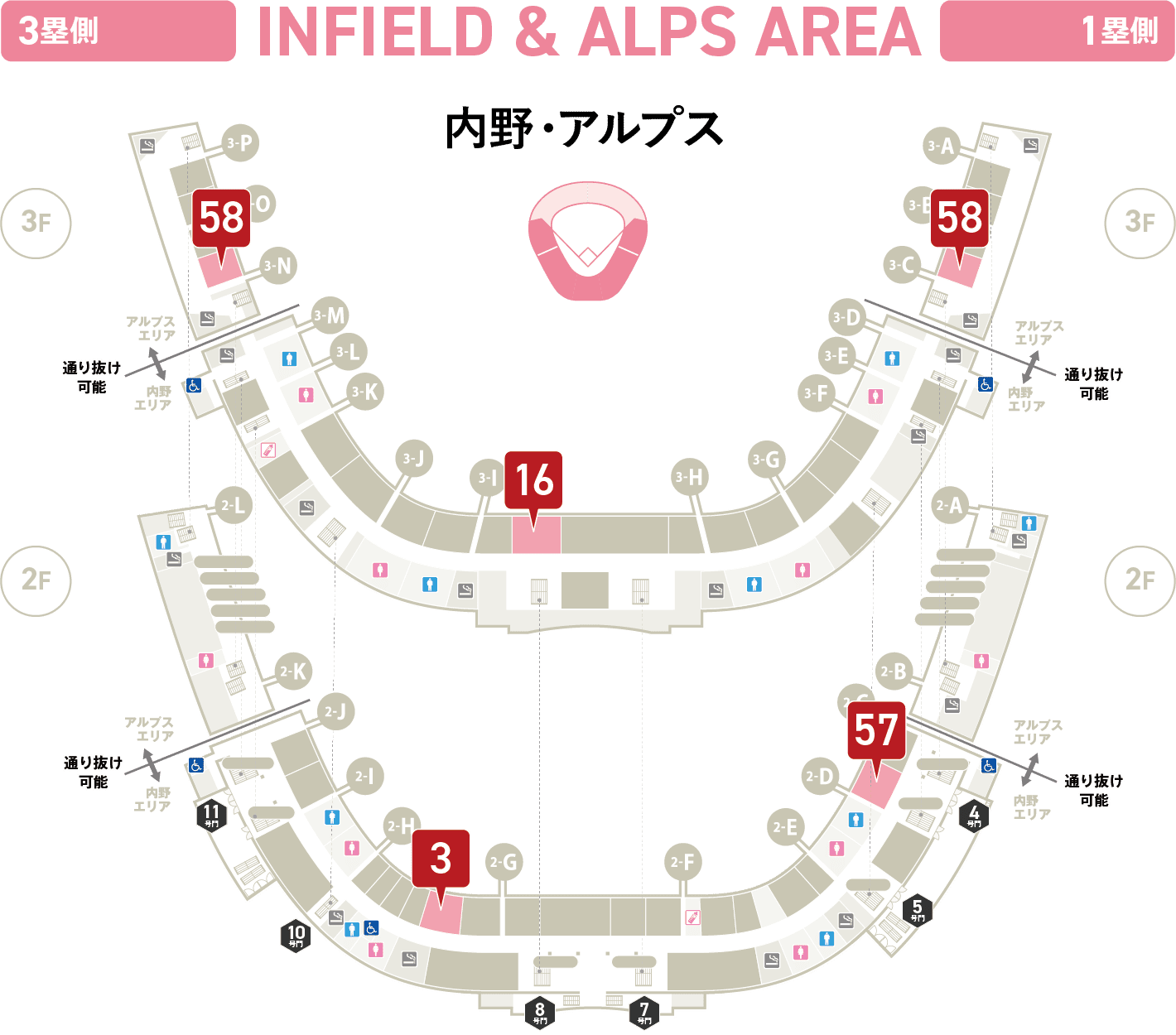 内野・アルプス
