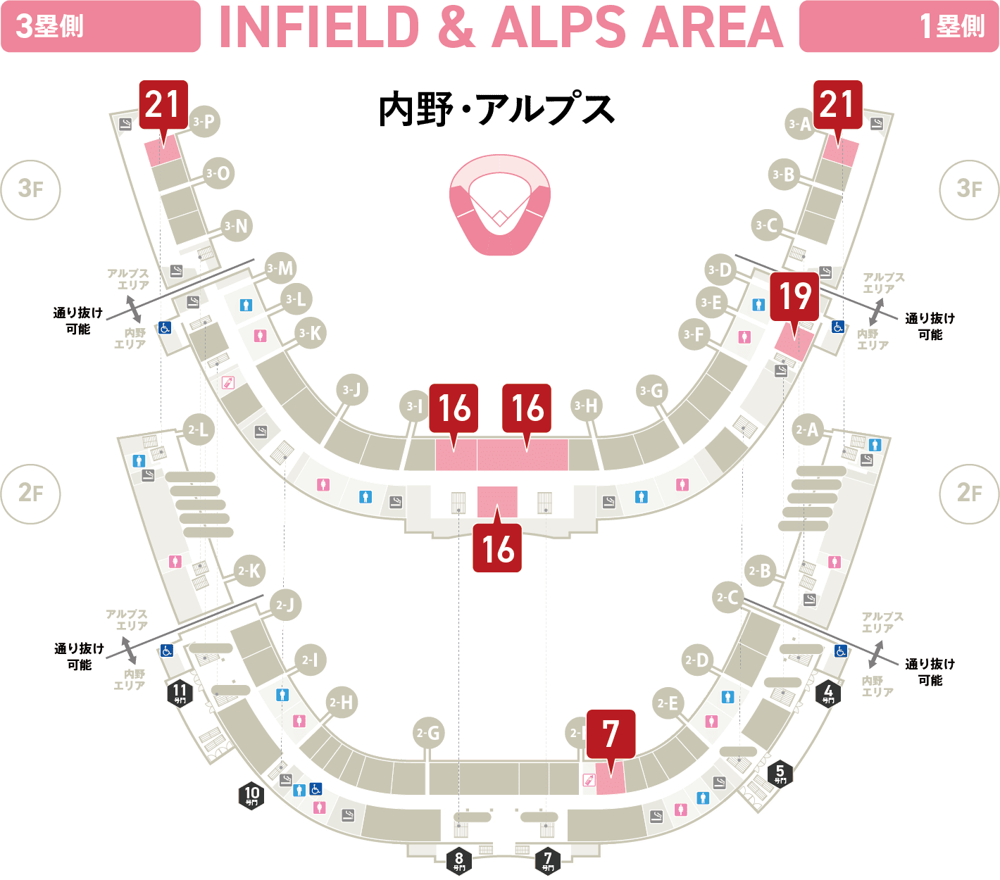 内野・アルプス