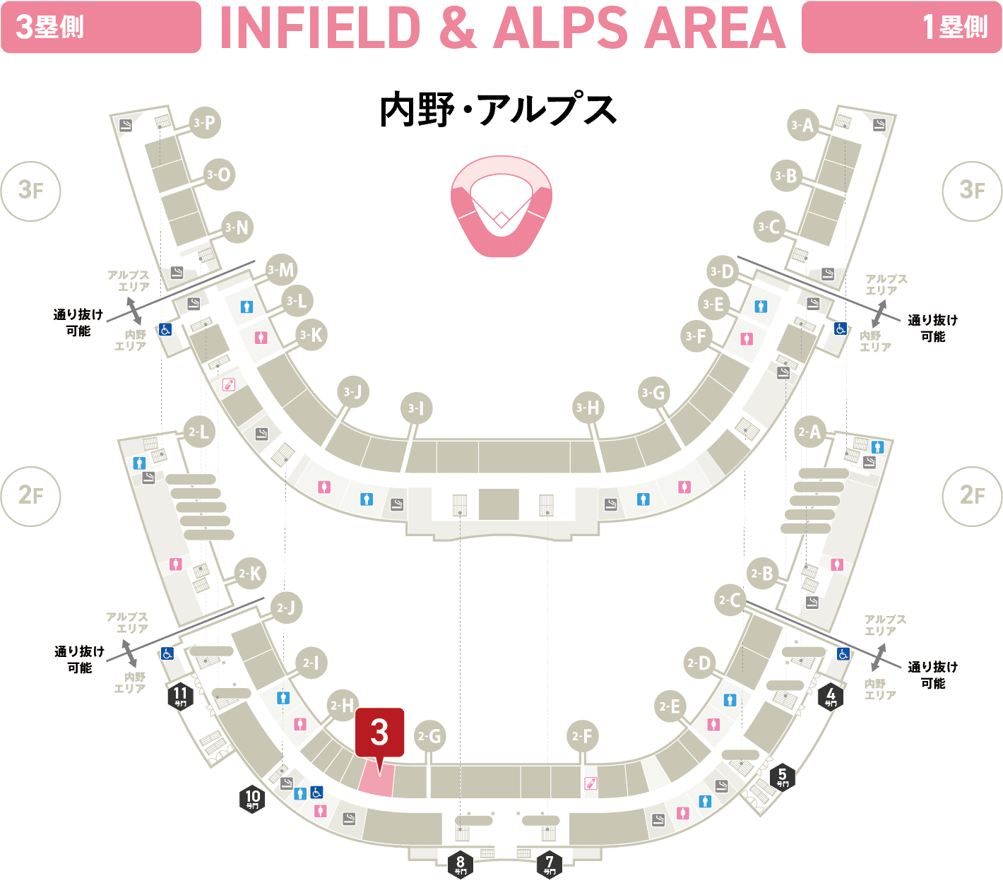 内野・アルプス