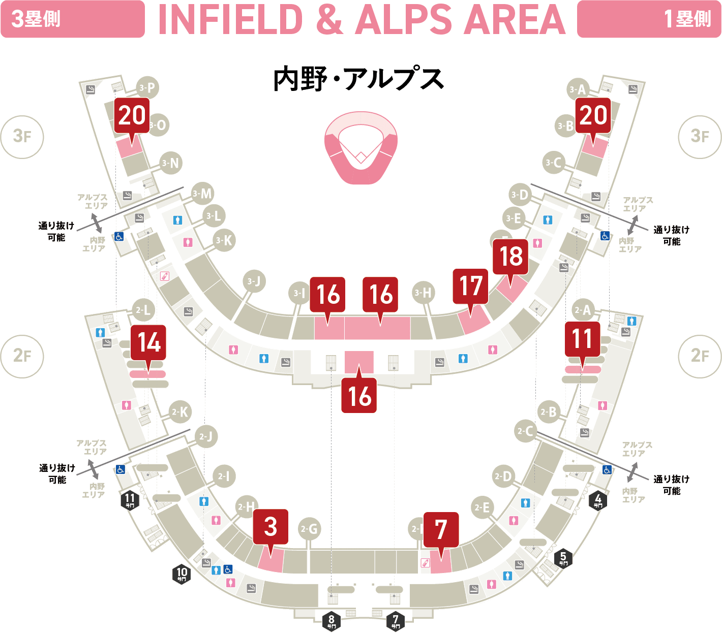 内野・アルプス