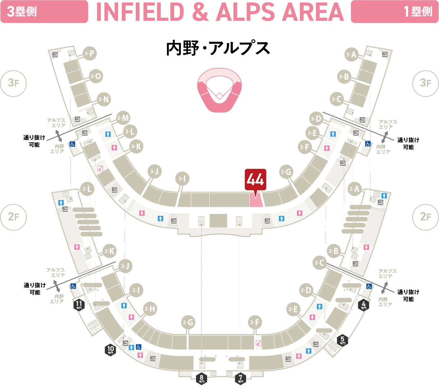 内野・アルプス