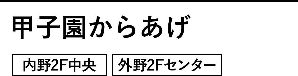 甲子園からあげ