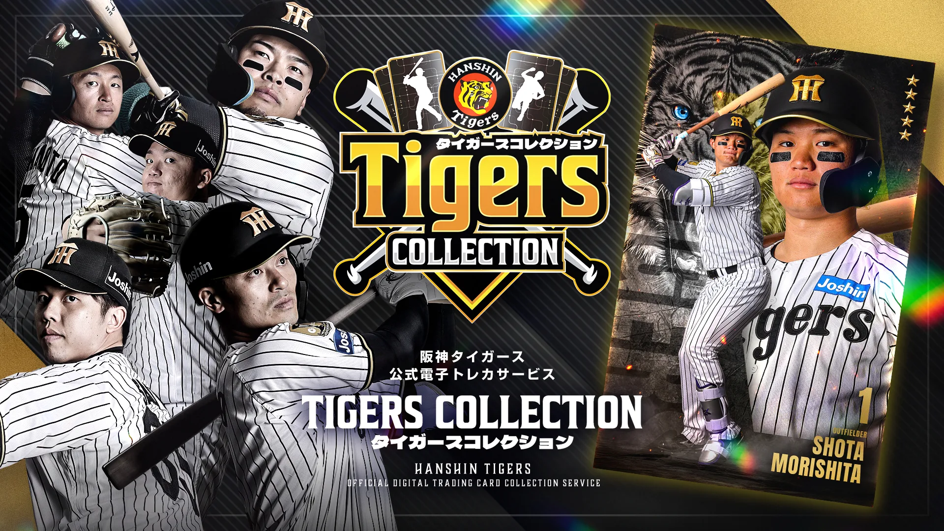 タイガースコレクション_ヘッダー.webp