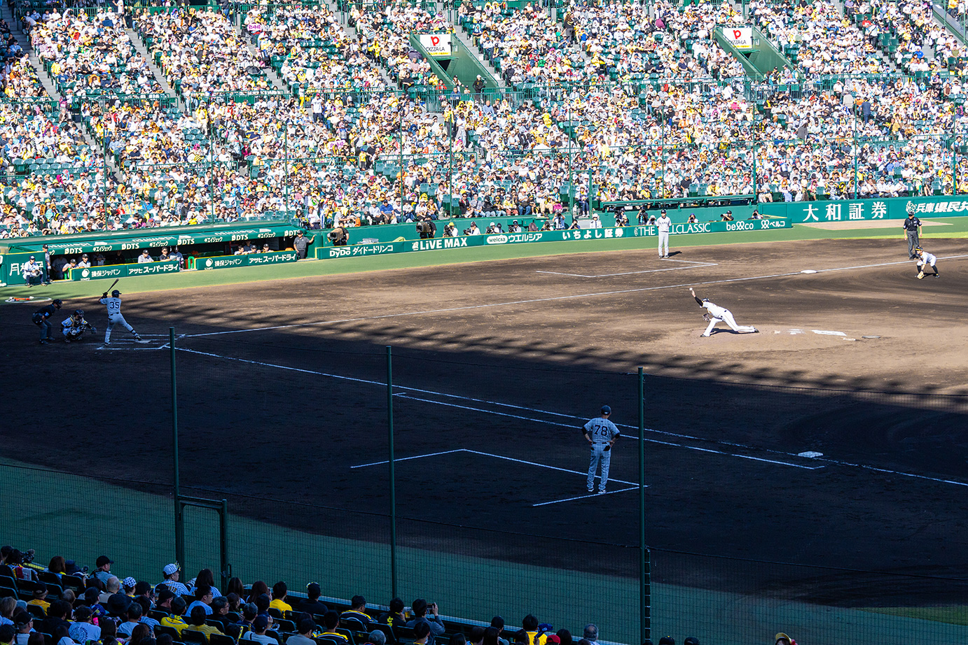 アイビーシートからの風景写真06