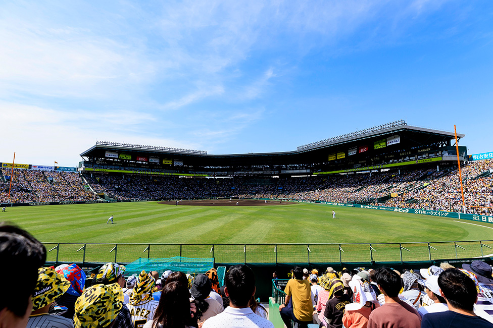 レフト外野指定席からの風景写真01