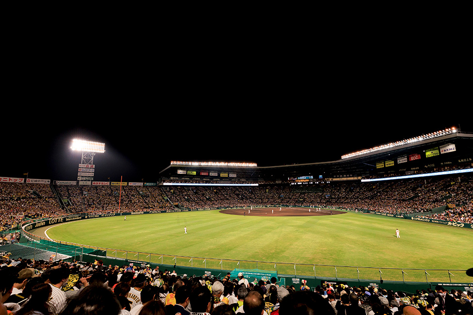 レフト外野指定席からの風景写真07