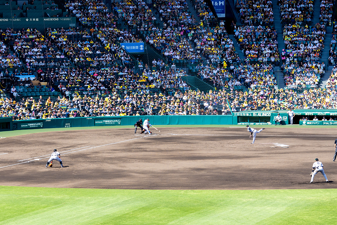 ライト外野指定席からの風景写真11