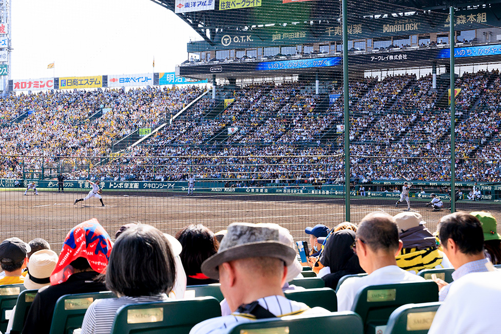 シート一覧｜HANSHIN KOSHIEN STADIUM SEASON SEAT 2024｜阪神タイガース2025年 年間予約席