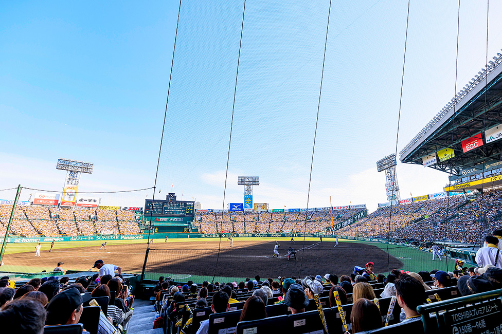 シート一覧｜HANSHIN KOSHIEN STADIUM SEASON SEAT 2024｜阪神タイガース2025年 年間予約席