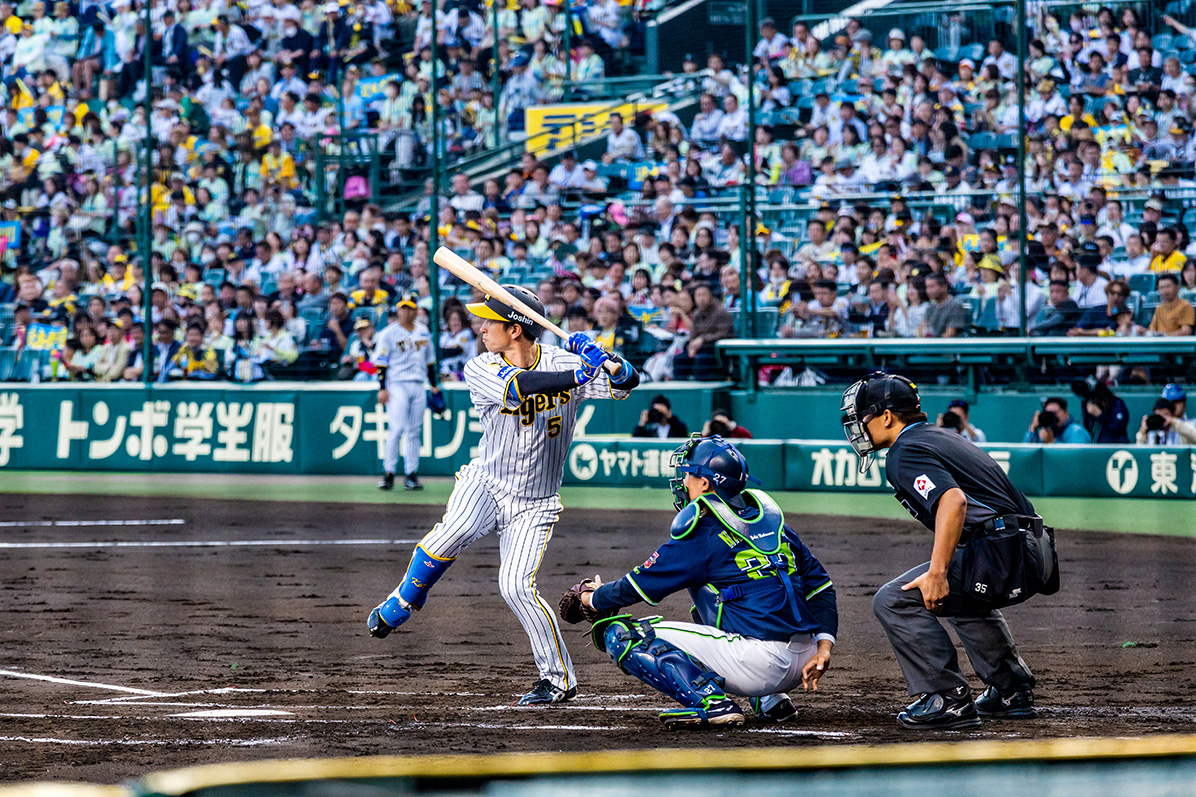 シート一覧｜HANSHIN KOSHIEN STADIUM SEASON SEAT 2024｜阪神タイガース2025年 年間予約席