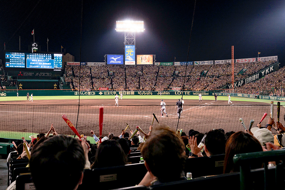 シート一覧｜HANSHIN KOSHIEN STADIUM SEASON SEAT 2024｜阪神タイガース2025年 年間予約席