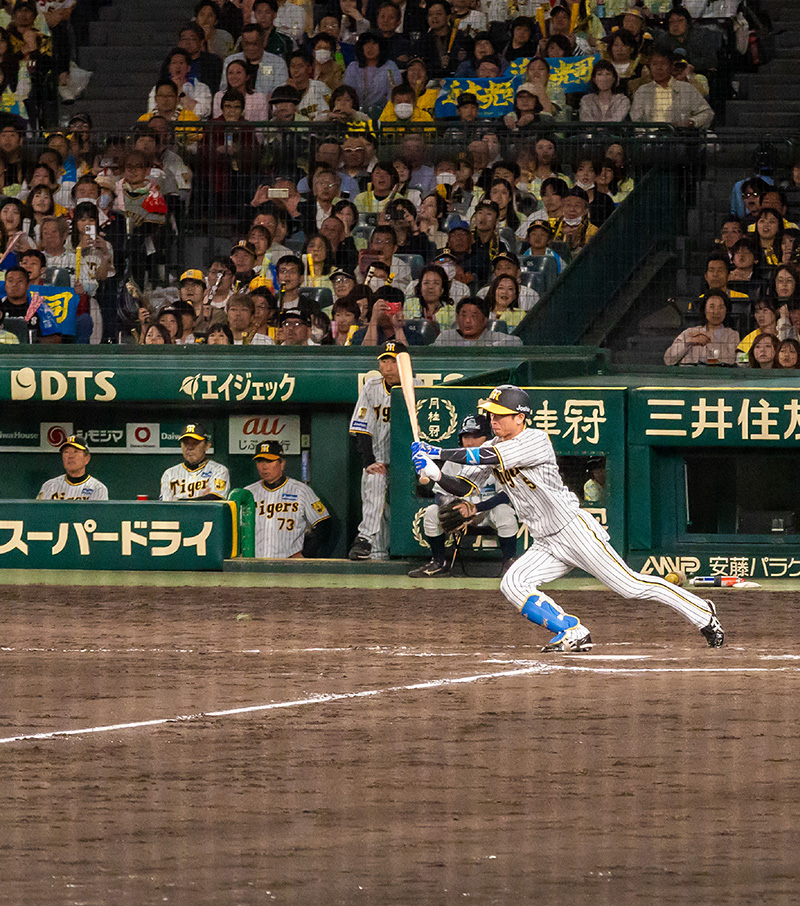 シート一覧｜HANSHIN KOSHIEN STADIUM SEASON SEAT 2024｜阪神タイガース2025年 年間予約席