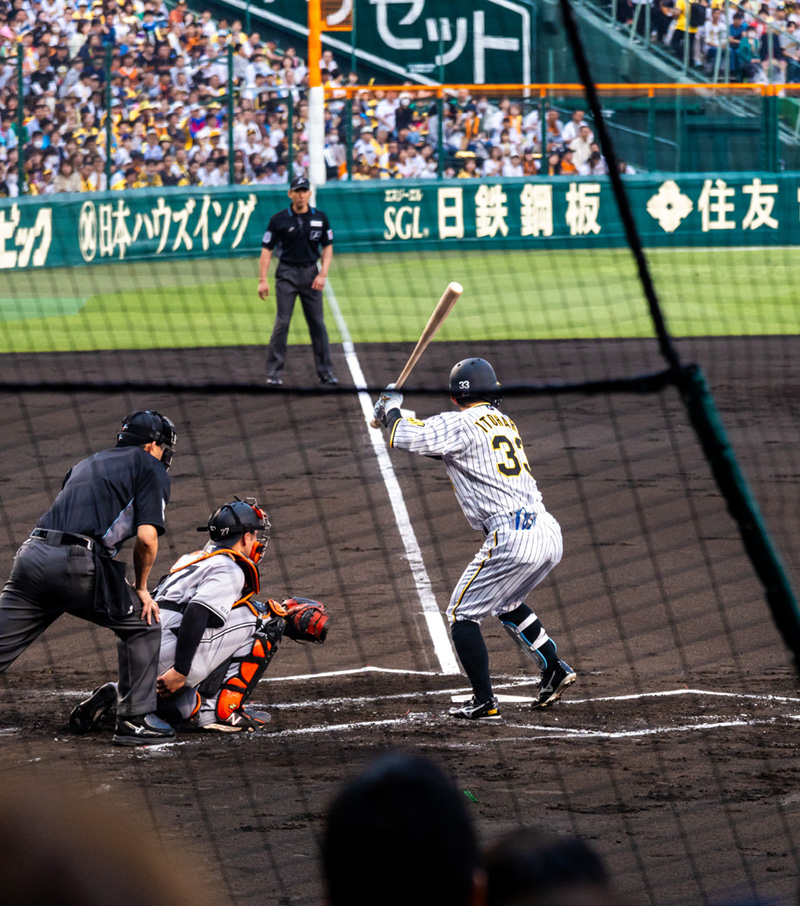 シート一覧｜HANSHIN KOSHIEN STADIUM SEASON SEAT 2024｜阪神タイガース2025年 年間予約席