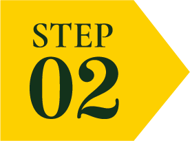 STEP02