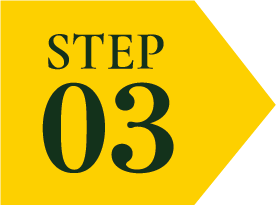 STEP03