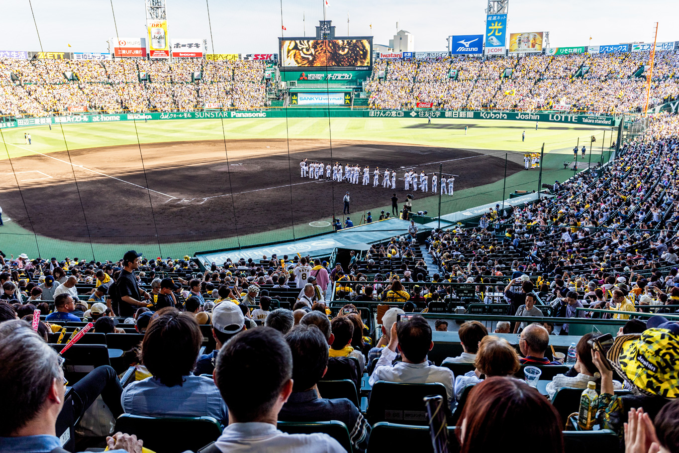 グリーンシートからの風景写真02