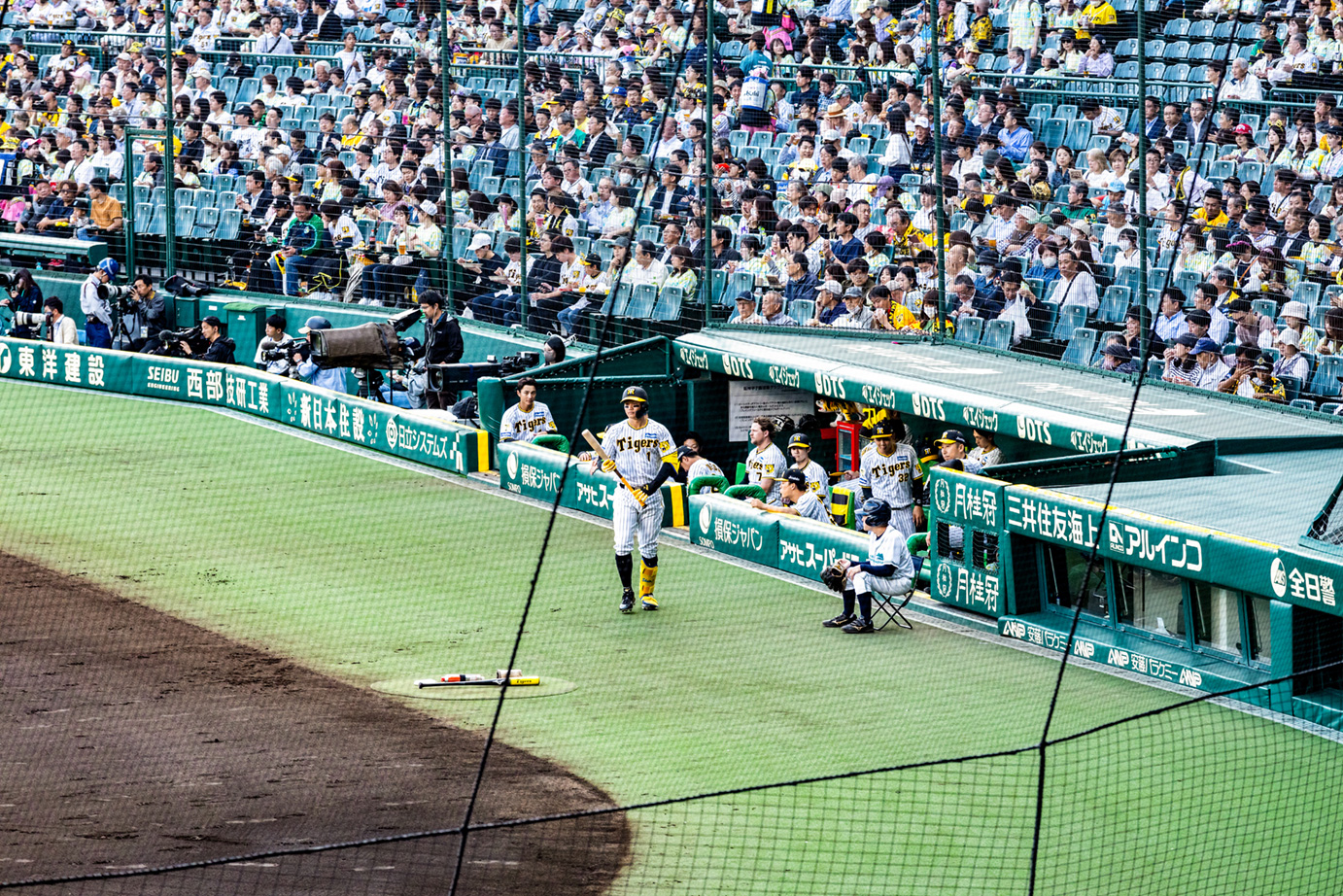 グリーンシートからの風景写真07